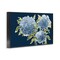 Stupell Industries Blue Hydrangeas on Indigo Framed Giclee, design by Janice Gaynor